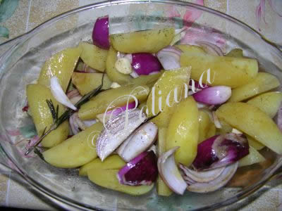 etapa_5