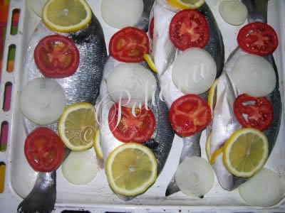 etapa_2