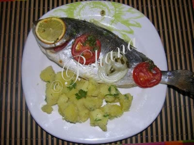 etapa_5