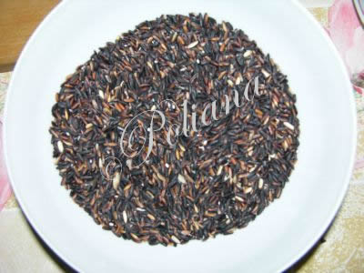 etapa_1