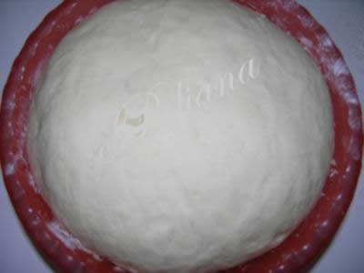 etapa_5