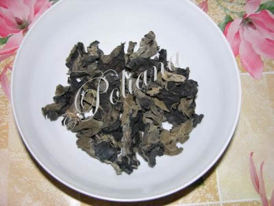 etapa_4