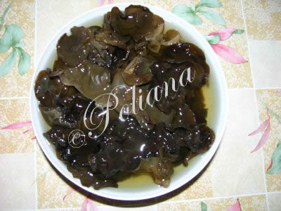 etapa_5
