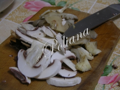 etapa_1