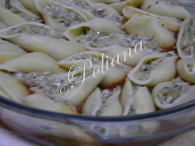 etapa_6