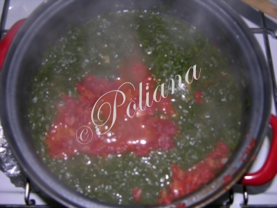 etapa_4