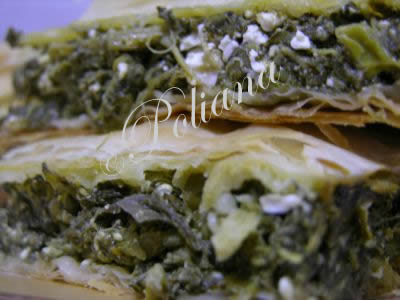 etapa_8