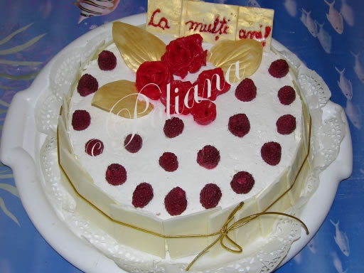 etapa_5